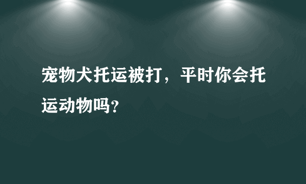 宠物犬托运被打，平时你会托运动物吗？