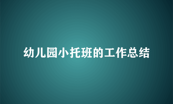 幼儿园小托班的工作总结