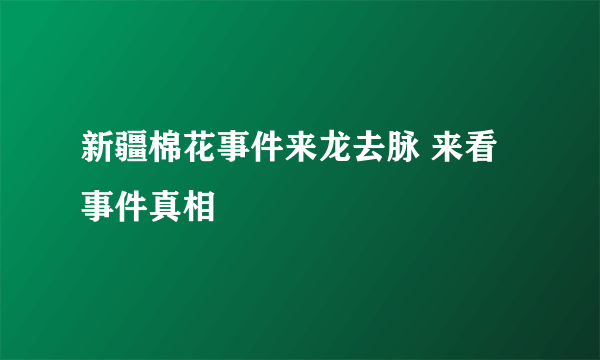 新疆棉花事件来龙去脉 来看事件真相