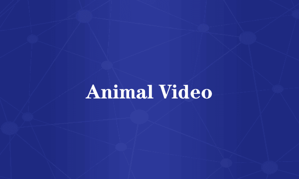 Animal Video