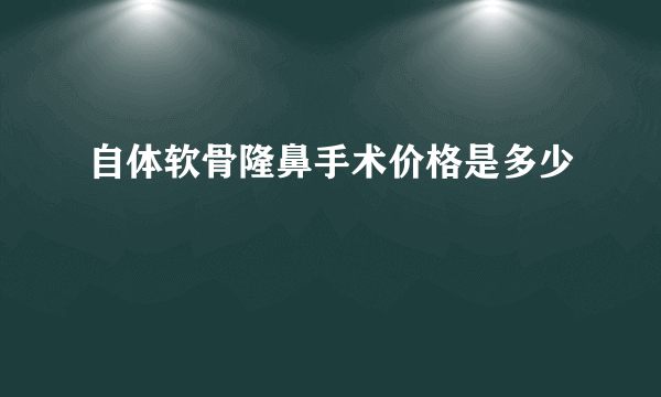 自体软骨隆鼻手术价格是多少