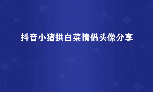 抖音小猪拱白菜情侣头像分享