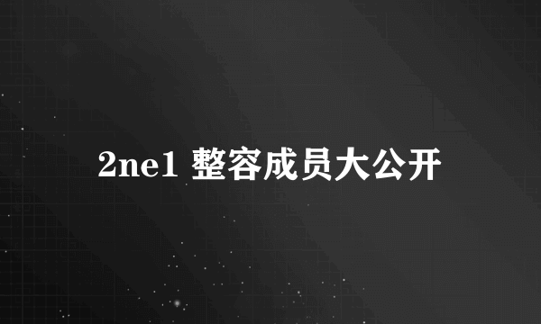 2ne1 整容成员大公开