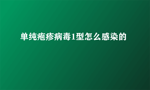 单纯疱疹病毒1型怎么感染的