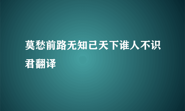 莫愁前路无知己天下谁人不识君翻译