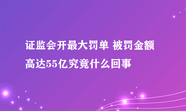 证监会开最大罚单 被罚金额高达55亿究竟什么回事