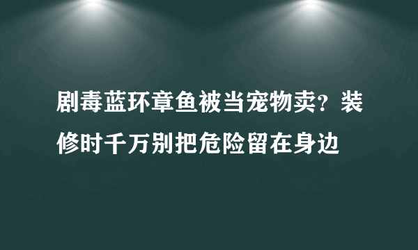 剧毒蓝环章鱼被当宠物卖？装修时千万别把危险留在身边