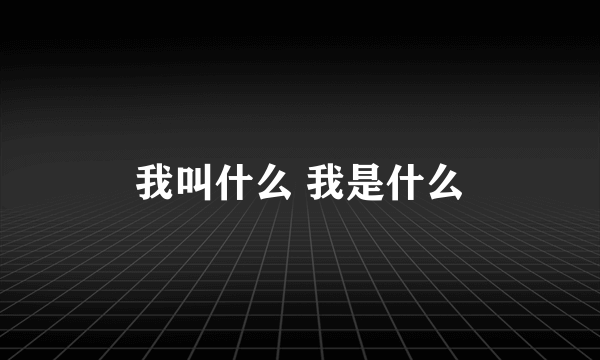 我叫什么 我是什么