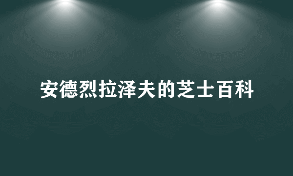 安德烈拉泽夫的芝士百科