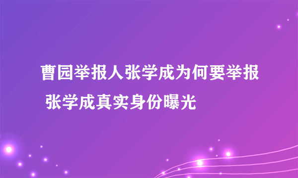 曹园举报人张学成为何要举报 张学成真实身份曝光