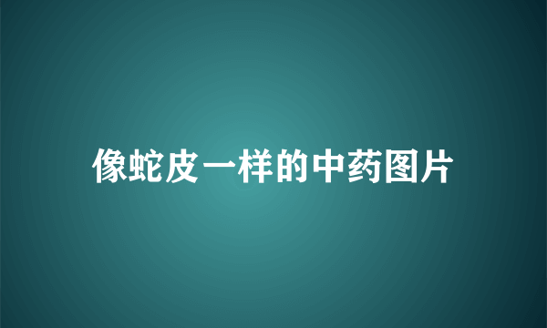 像蛇皮一样的中药图片