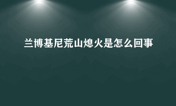 兰博基尼荒山熄火是怎么回事