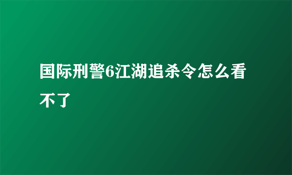 国际刑警6江湖追杀令怎么看不了