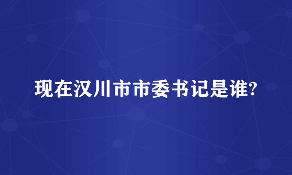 现在汉川市市委书记是谁?