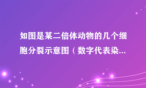 如图是某二倍体动物的几个细胞分裂示意图（数字代表染色体，字母代表染色体上带有的基因）．据图判断错误的是（　　）