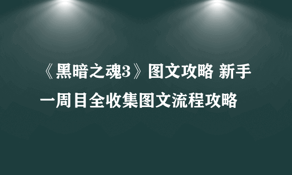 《黑暗之魂3》图文攻略 新手一周目全收集图文流程攻略