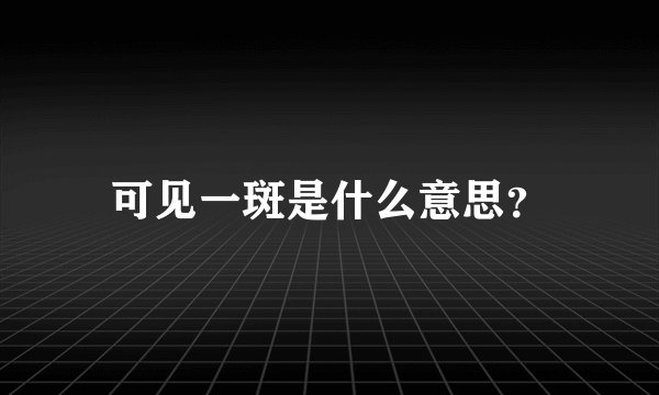 可见一斑是什么意思？