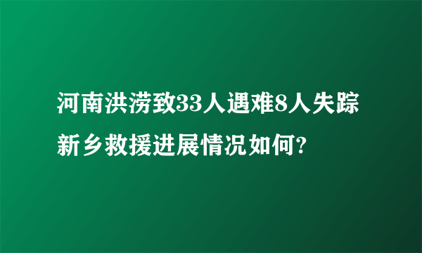 河南洪涝致33人遇难8人失踪 新乡救援进展情况如何?