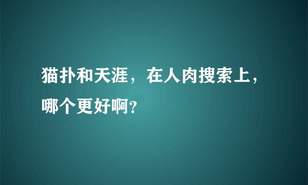 猫扑和天涯，在人肉搜索上，哪个更好啊？