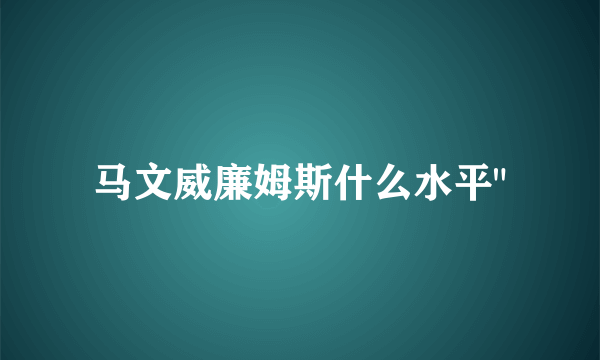 马文威廉姆斯什么水平