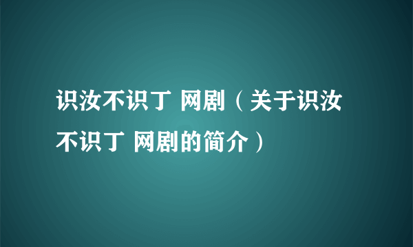 识汝不识丁 网剧（关于识汝不识丁 网剧的简介）