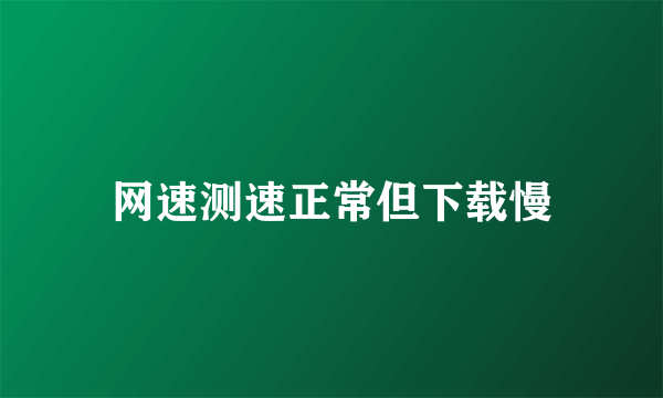 网速测速正常但下载慢