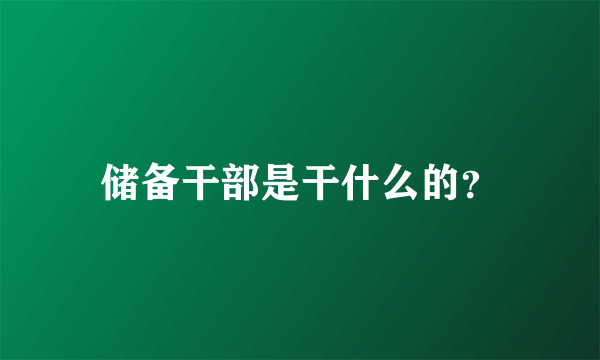 储备干部是干什么的？