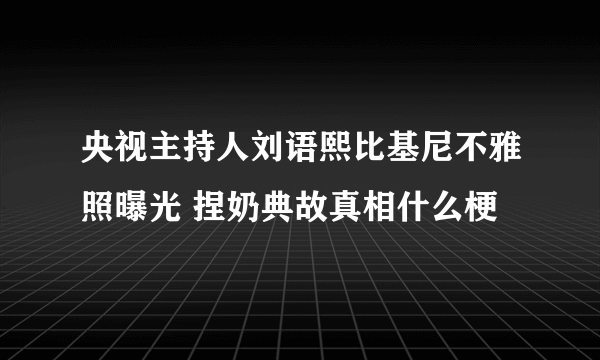 央视主持人刘语熙比基尼不雅照曝光 捏奶典故真相什么梗