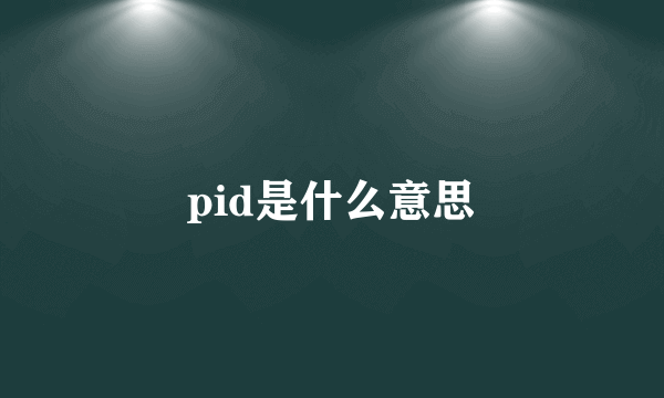 pid是什么意思