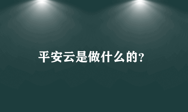 平安云是做什么的？