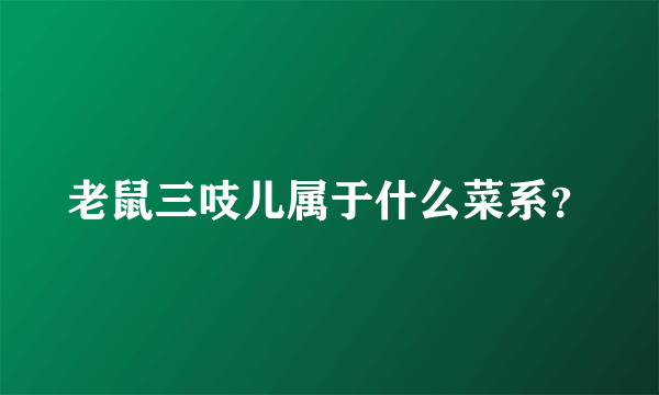 老鼠三吱儿属于什么菜系？