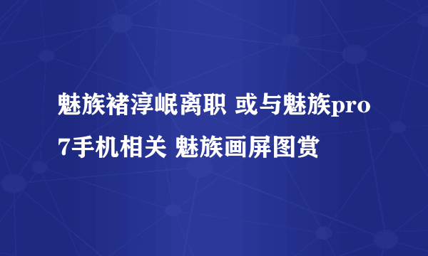 魅族褚淳岷离职 或与魅族pro7手机相关 魅族画屏图赏