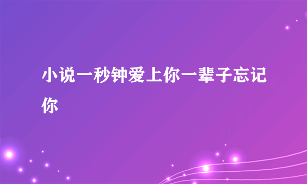 小说一秒钟爱上你一辈子忘记你