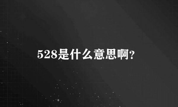 528是什么意思啊？