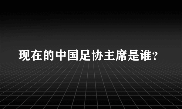 现在的中国足协主席是谁？