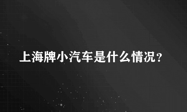 上海牌小汽车是什么情况？