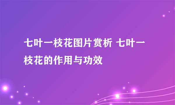 七叶一枝花图片赏析 七叶一枝花的作用与功效