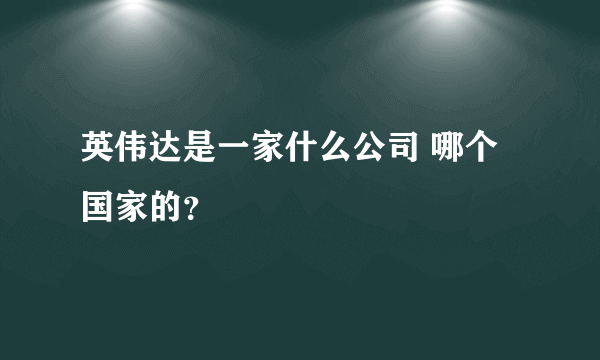 英伟达是一家什么公司 哪个国家的？