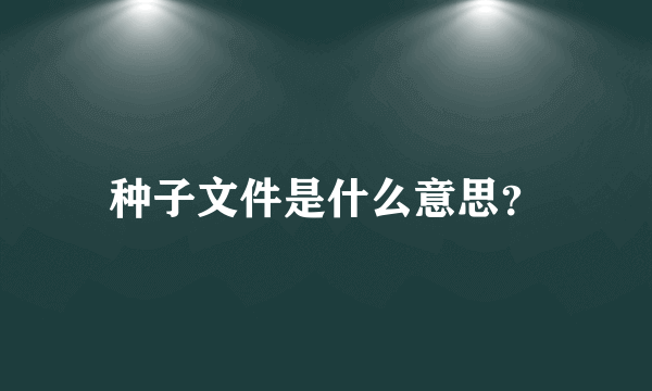 种子文件是什么意思？