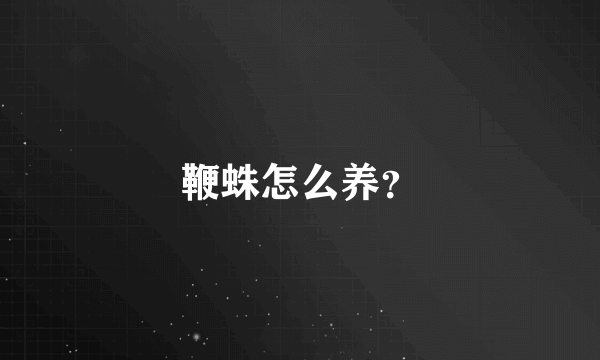 鞭蛛怎么养？