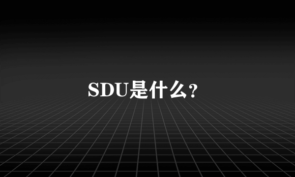 SDU是什么？