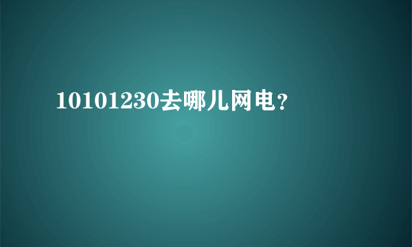 10101230去哪儿网电？