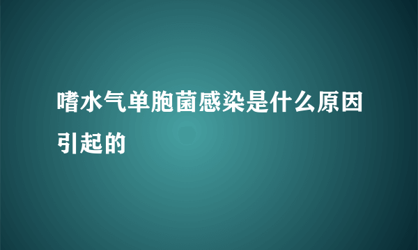 嗜水气单胞菌感染是什么原因引起的