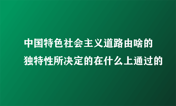 中国特色社会主义道路由啥的独特性所决定的在什么上通过的