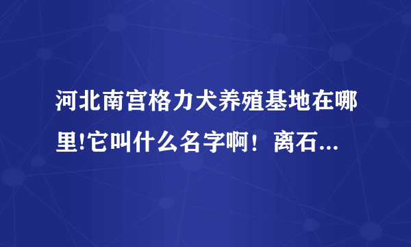 河北南宫格力犬养殖基地在哪里!它叫什么名字啊！离石家庄多远啊！