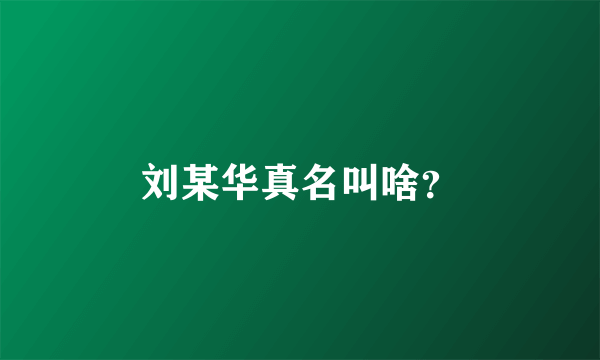 刘某华真名叫啥？