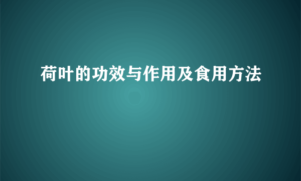 荷叶的功效与作用及食用方法