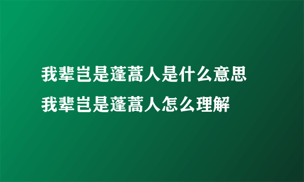 我辈岂是蓬蒿人是什么意思 我辈岂是蓬蒿人怎么理解