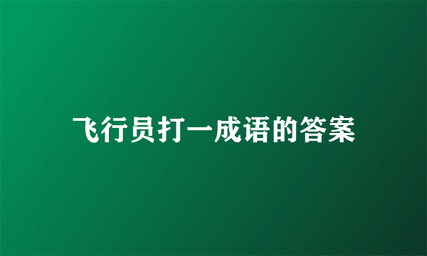 飞行员打一成语的答案