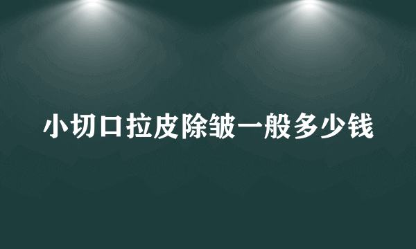 小切口拉皮除皱一般多少钱